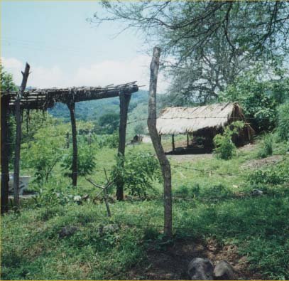 Puebla Indigena Cerca de Tepic, Mexico