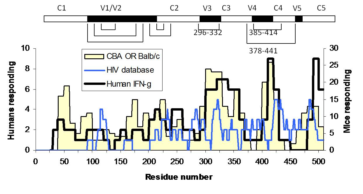 epitope map