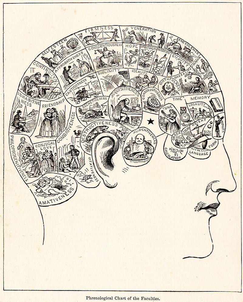 _images/cortex-Phrenology.png