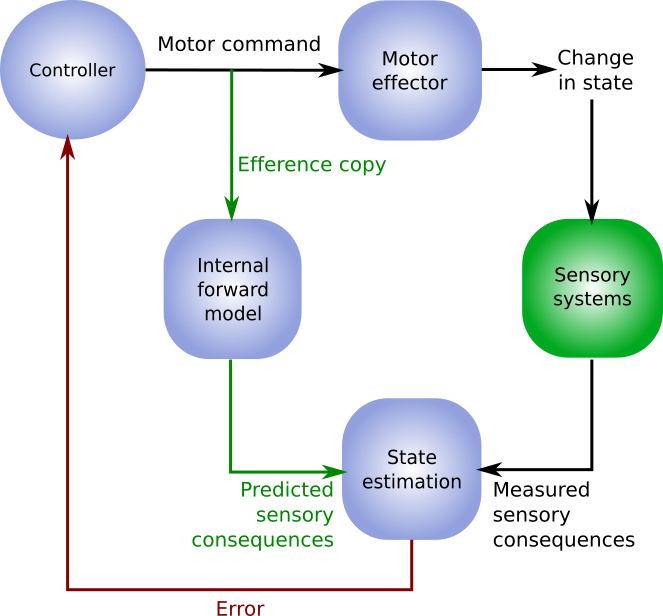 _images/dorsal-FeedbackControl.png