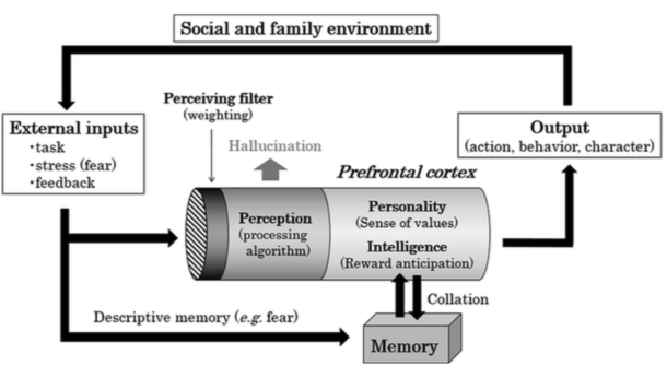 _images/model_Akaishi18Fig1.png