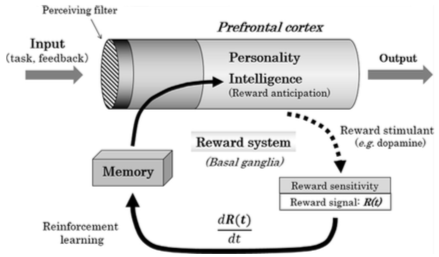 _images/model_Akaishi18Fig2.png