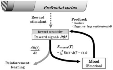 _images/model_Akaishi18Fig3.png