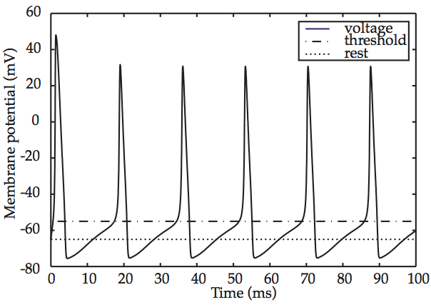 _images/neuron-HH_train.png