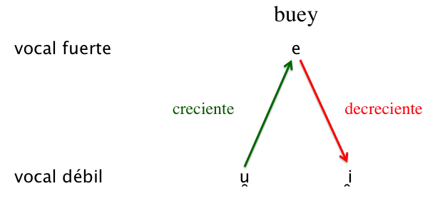 _images/DiptongoCrecienteDecreciente.png