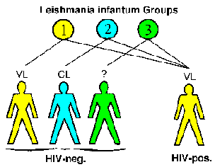 Leishmania and AIDS